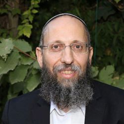הרב יוסף צבי רימון