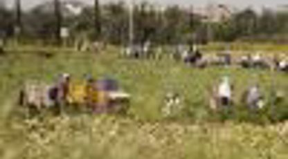 אירוע פסח לבוגרי ובוגרות המרכז האקדמי לב