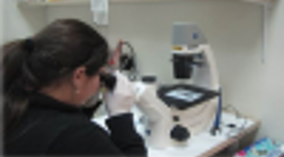 Making Waves for Women in Israel's Workforce