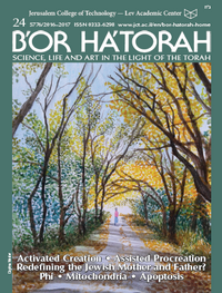 B'OR HA'TORAH 24