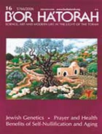 B'OR HA'TORAH 16